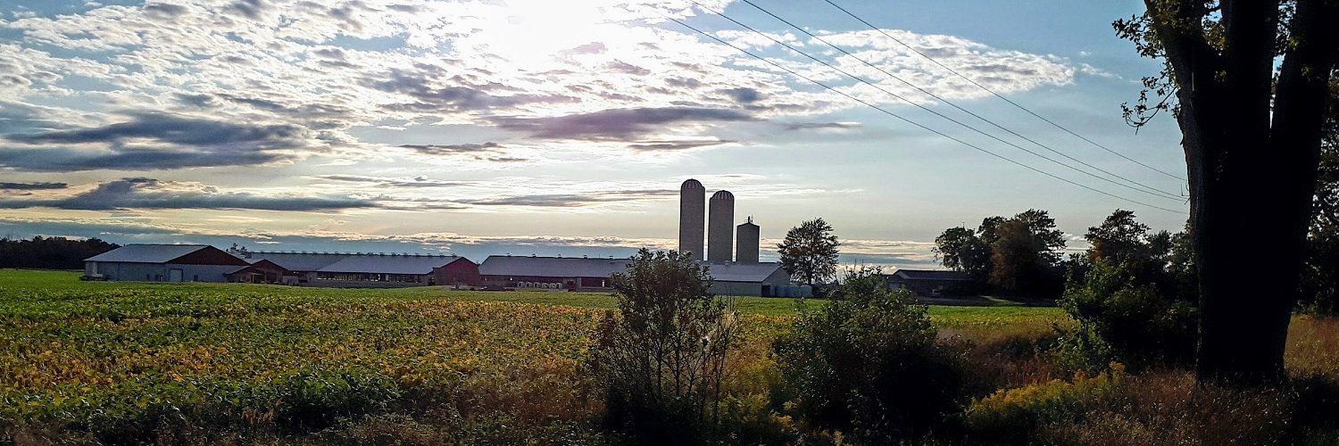 Lasagna | Stonetown Artisan Cheese